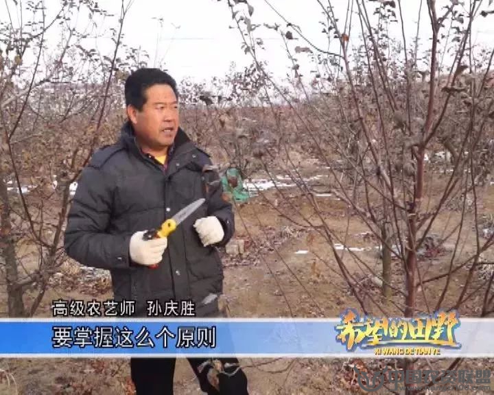 附件