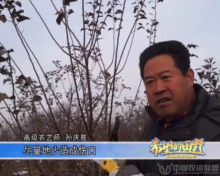 附件