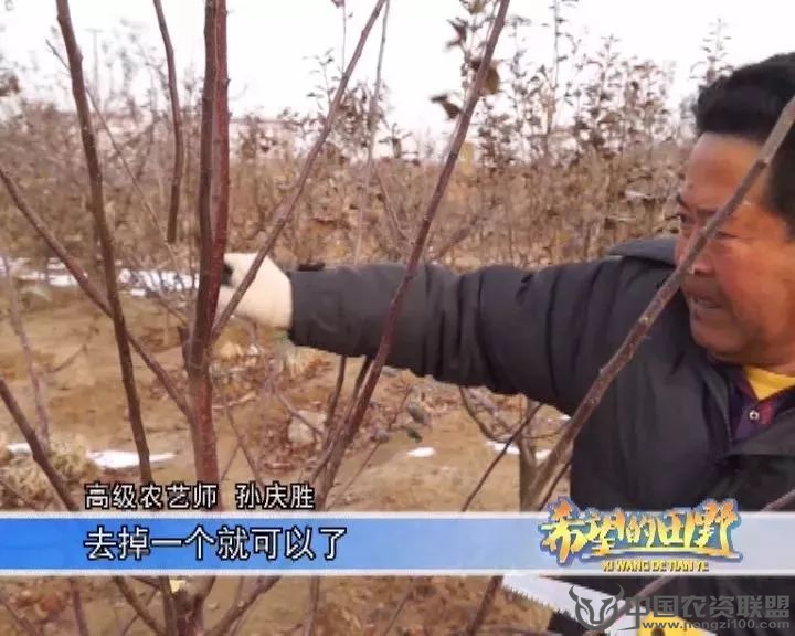 附件