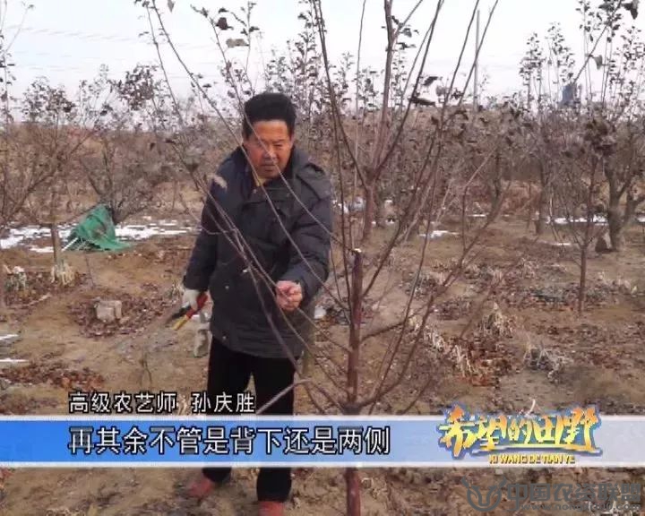 附件
