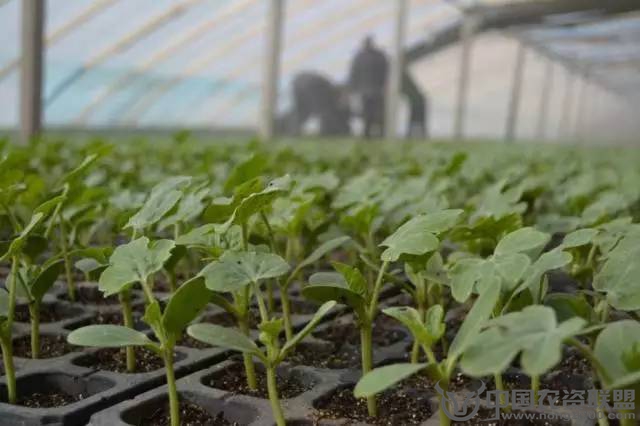 附件