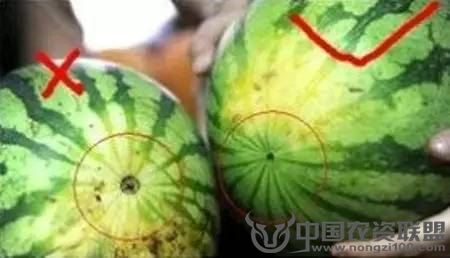附件