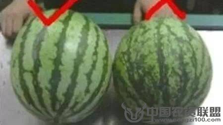 附件
