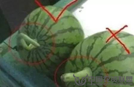 附件