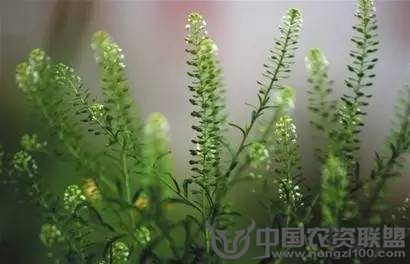 附件