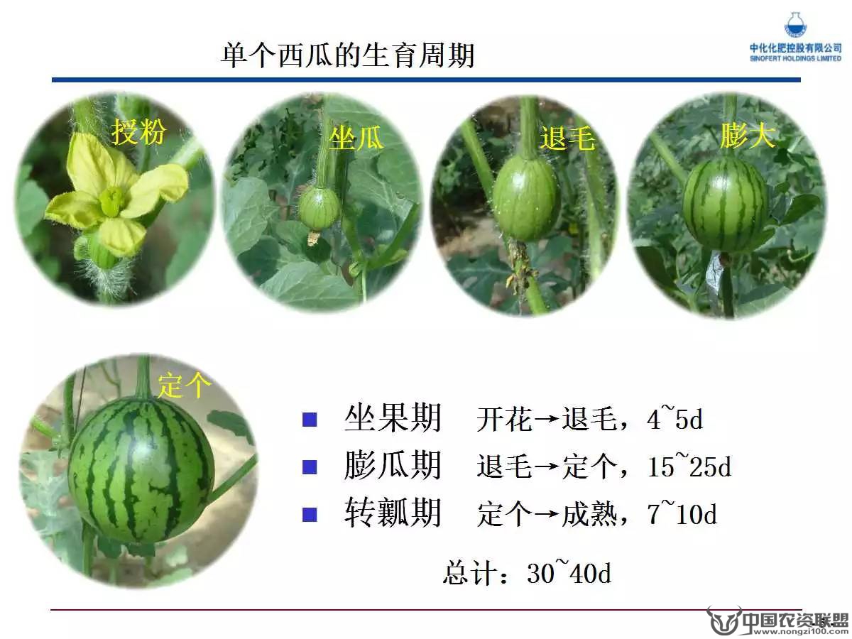附件