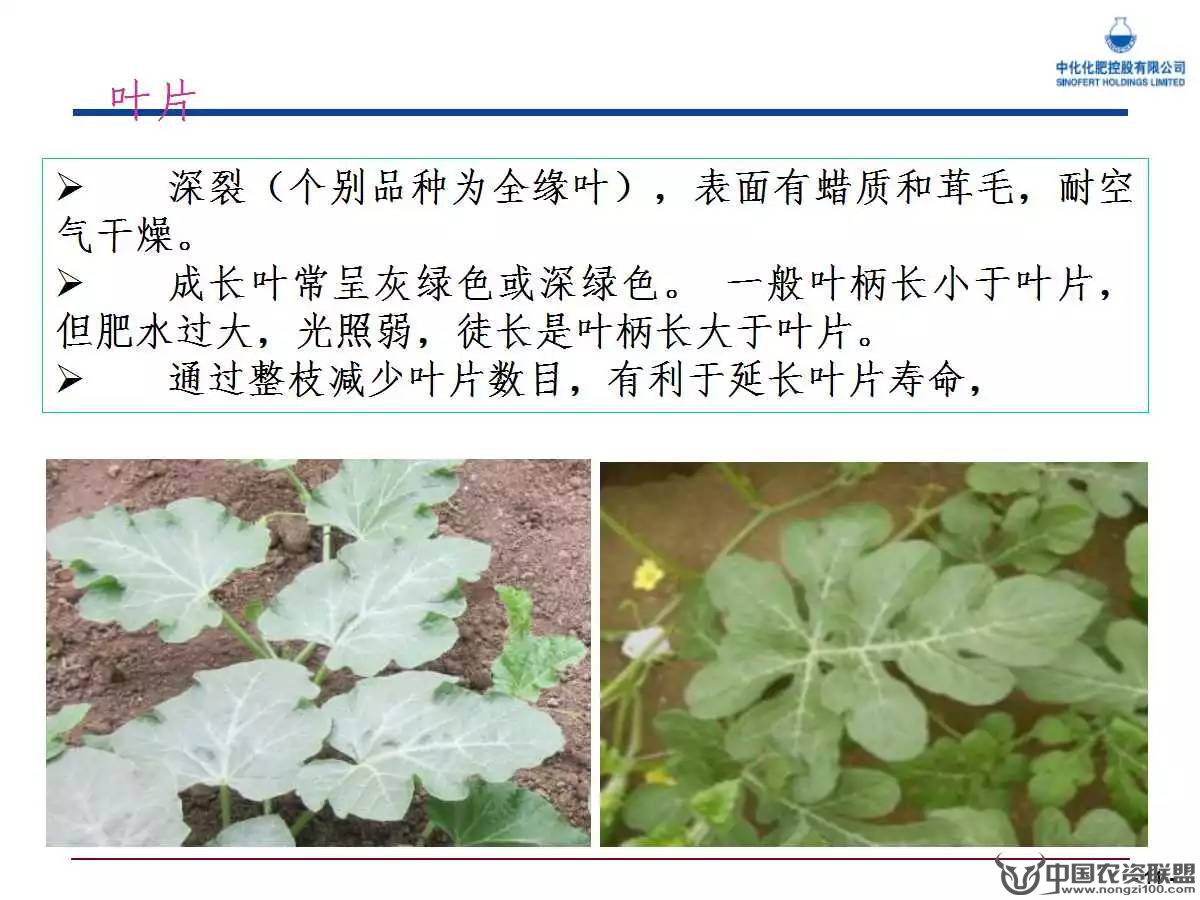 附件