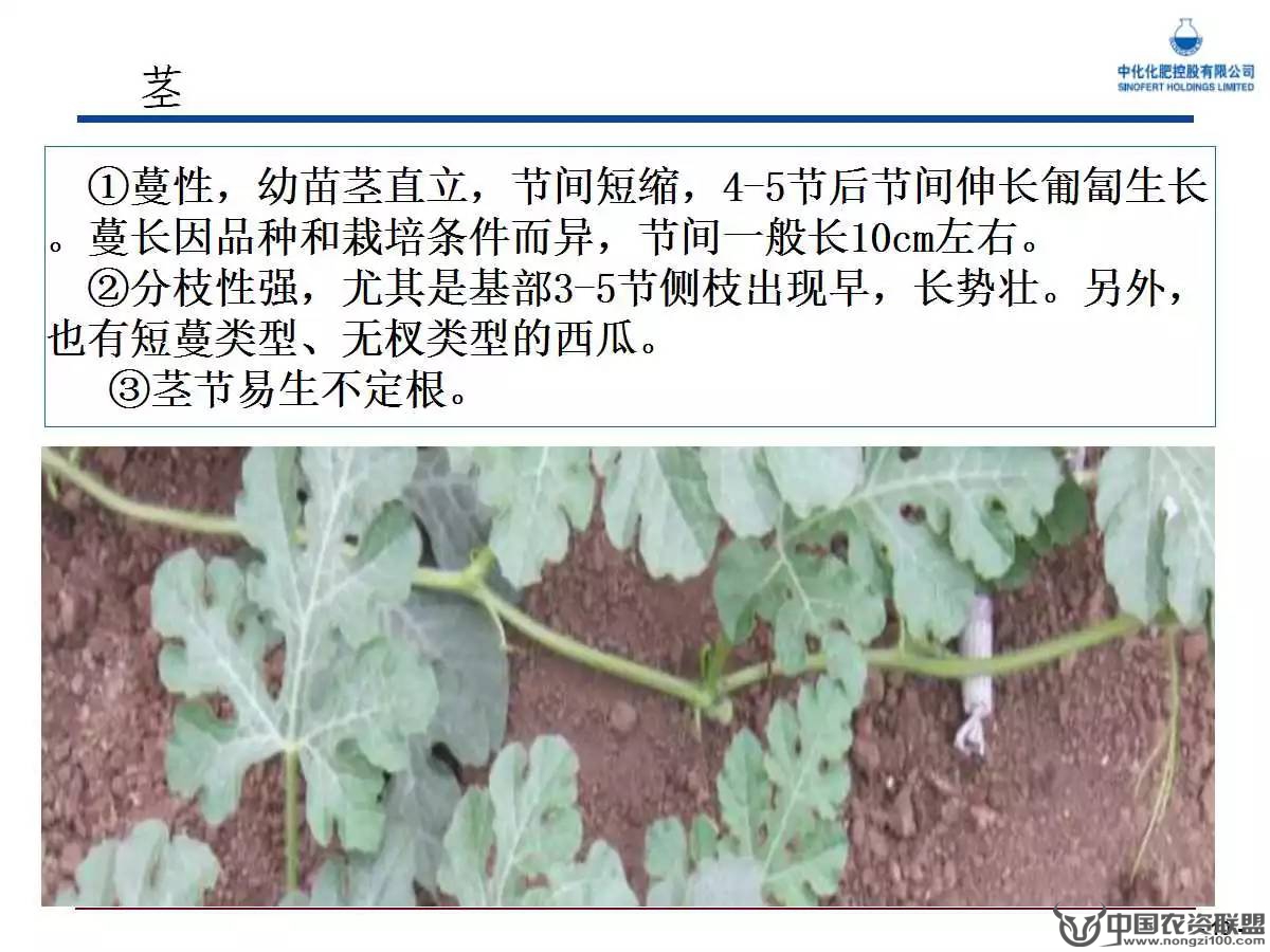 附件