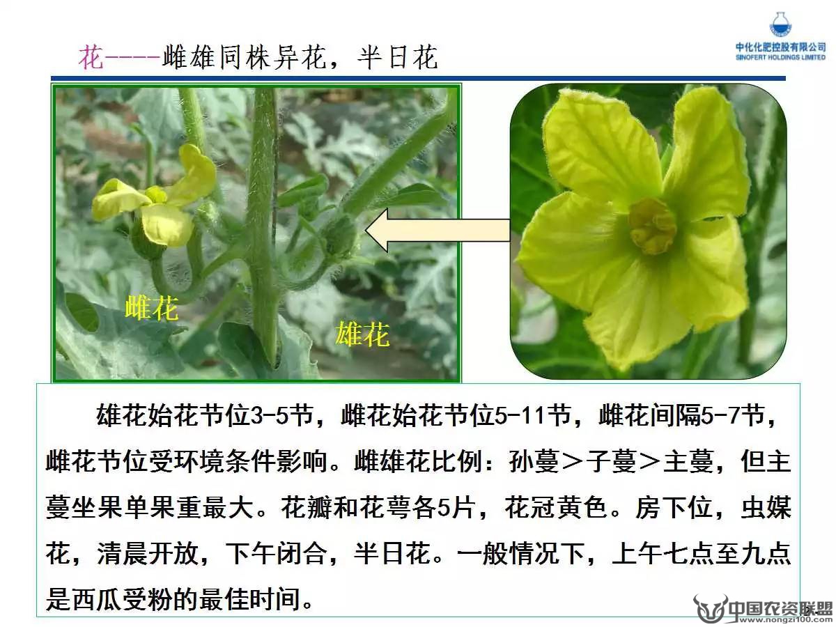 附件