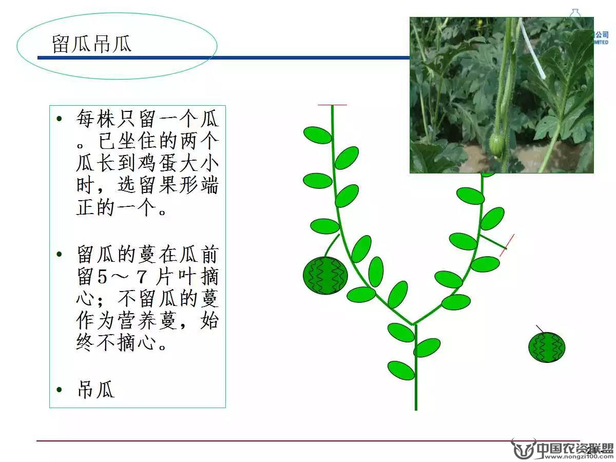 附件