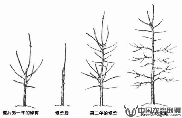 附件