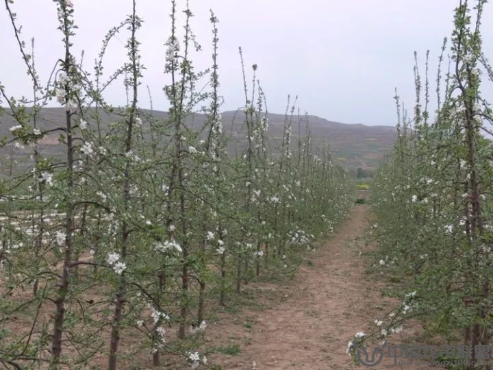 附件