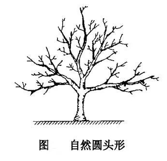 附件