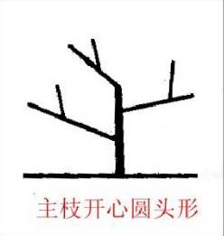 附件