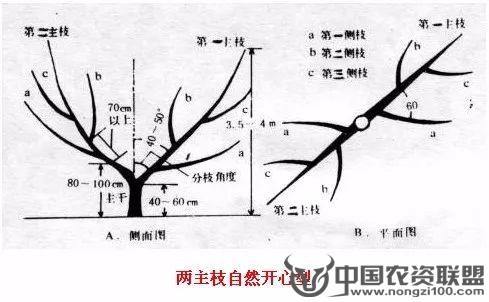 附件