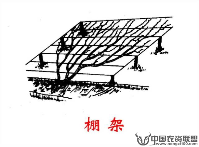 附件
