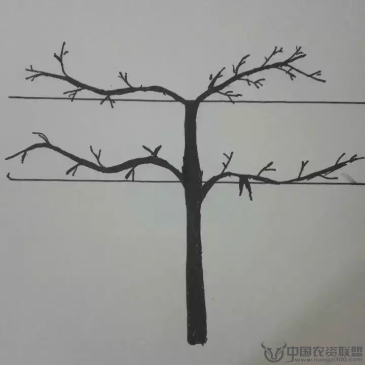 附件