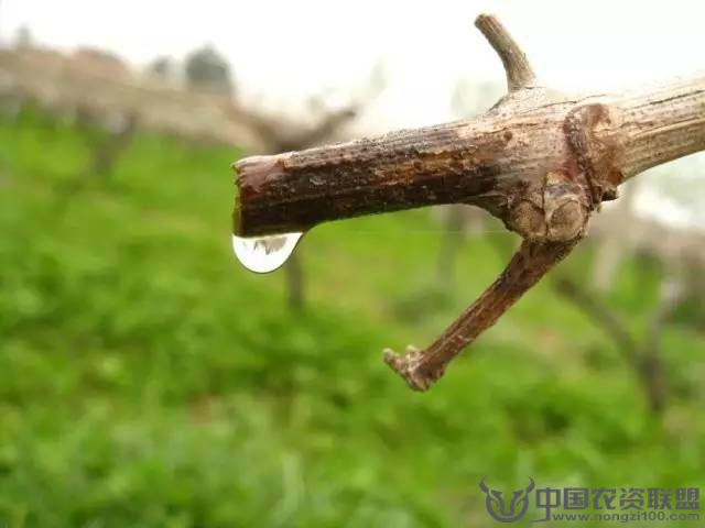 附件