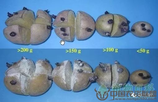 附件