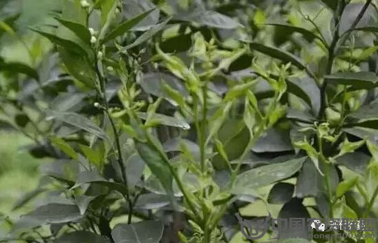 附件