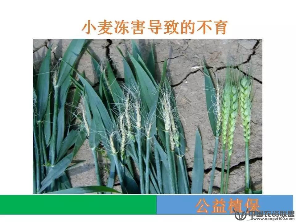 附件