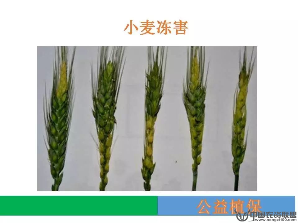 附件