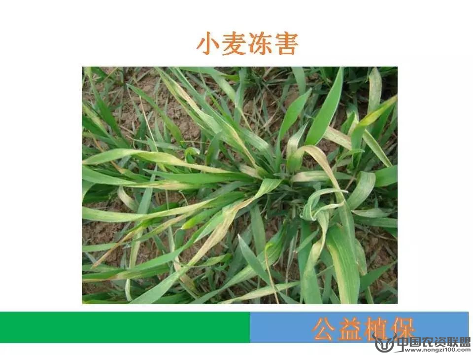 附件