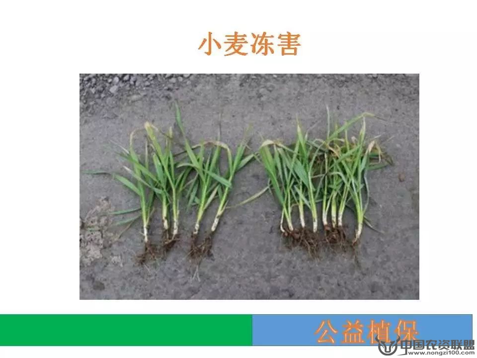 附件
