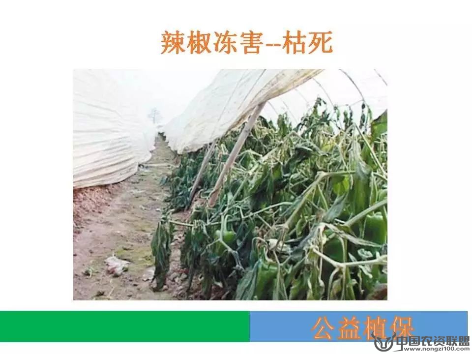 附件