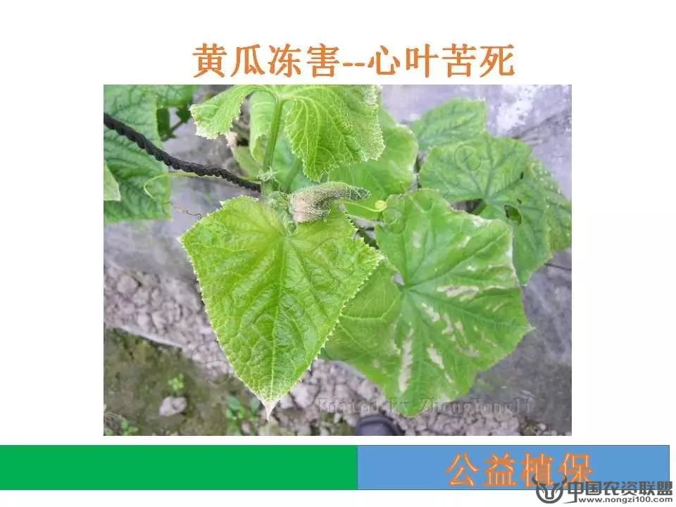 附件