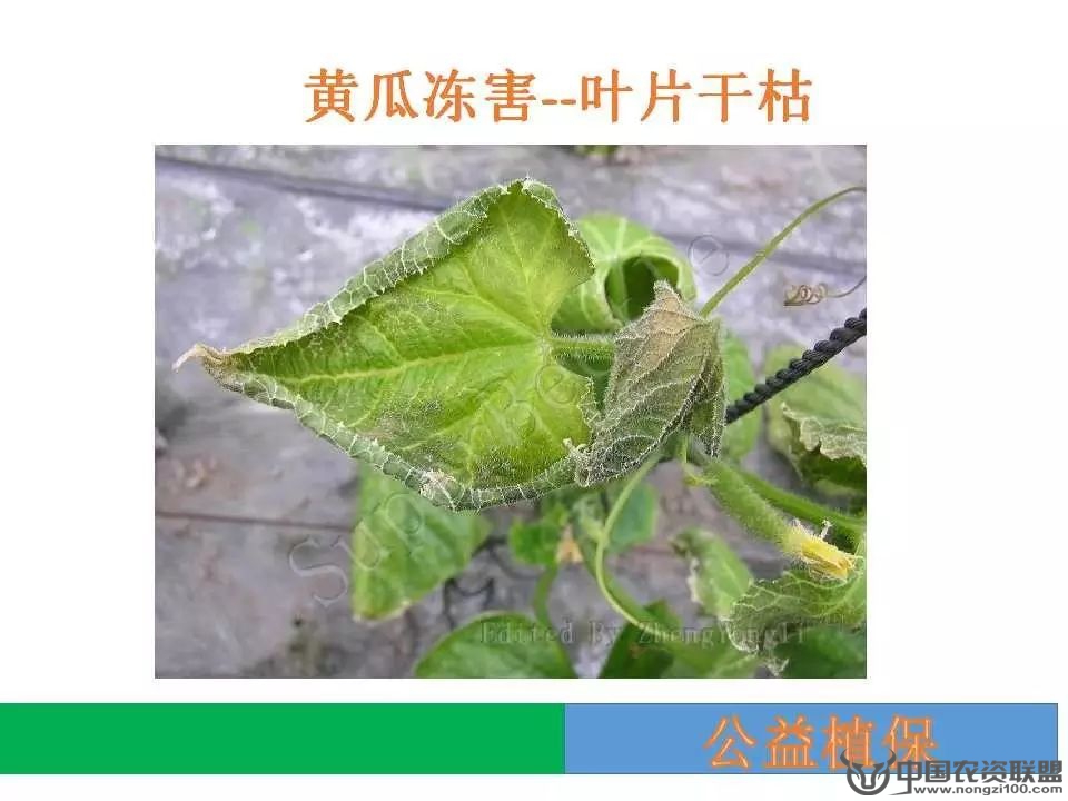 附件