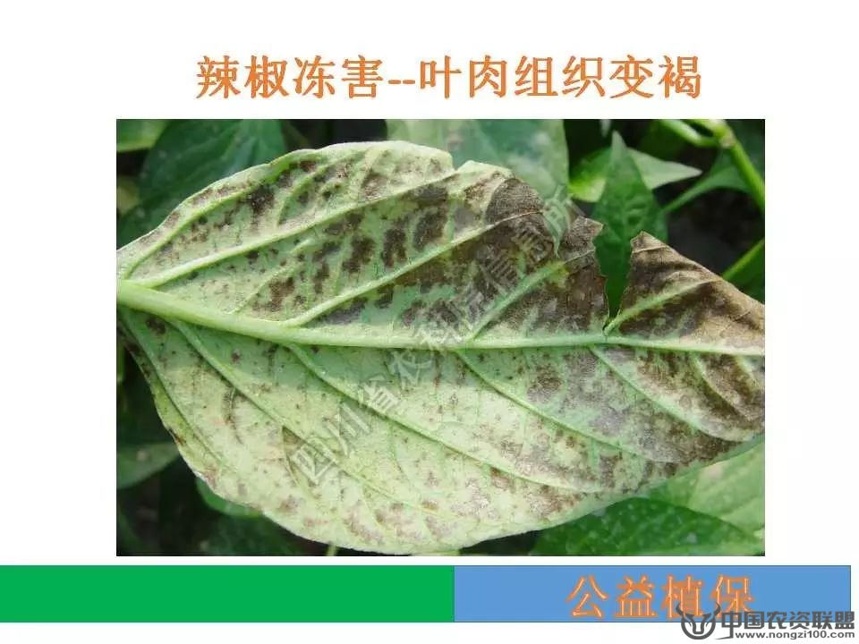 附件
