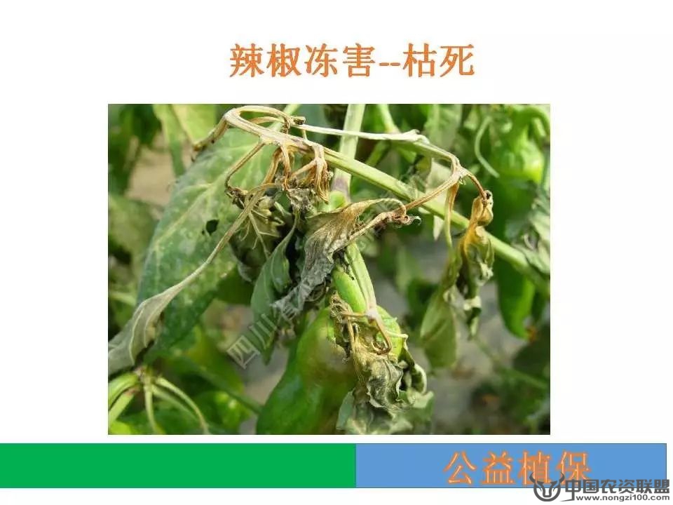 附件