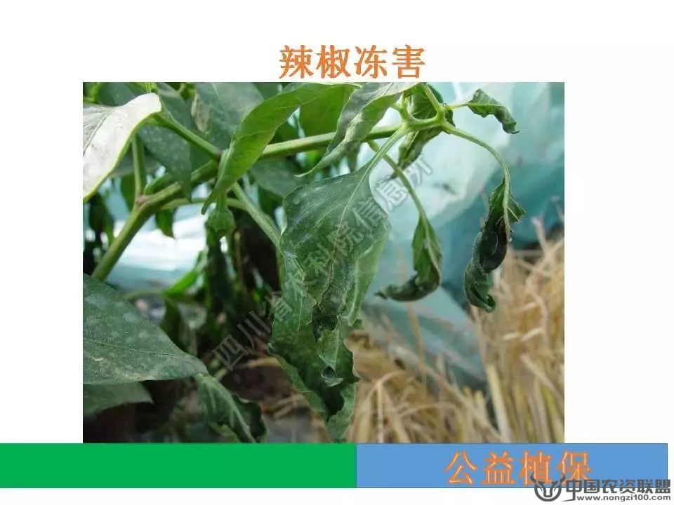 附件
