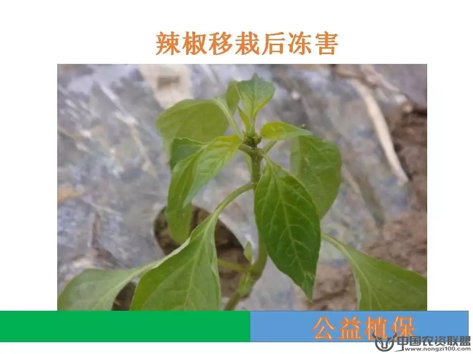 附件