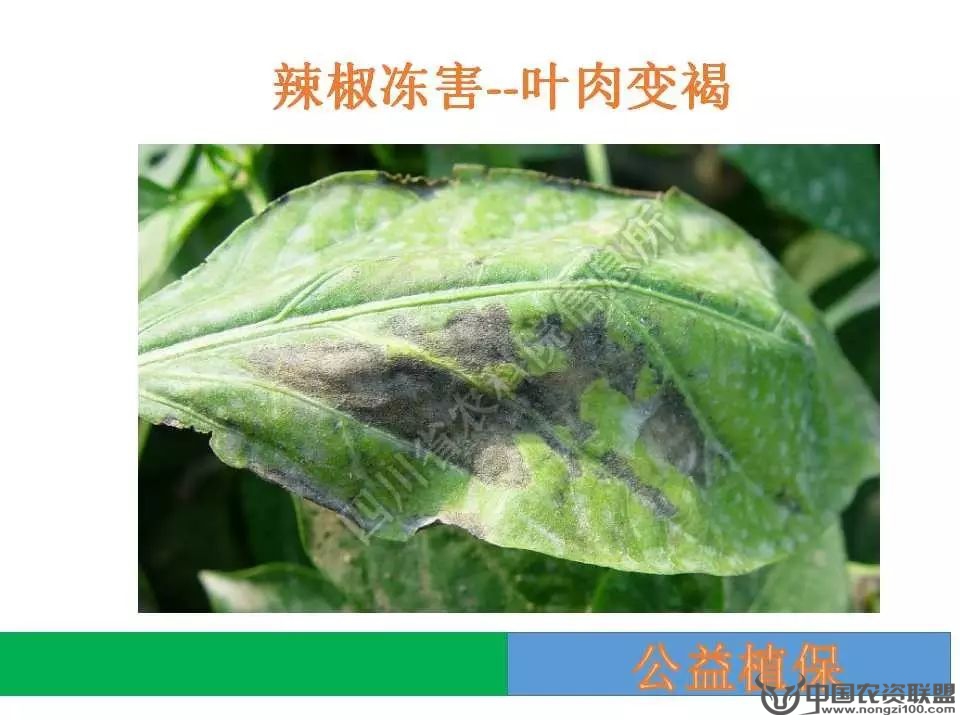 附件