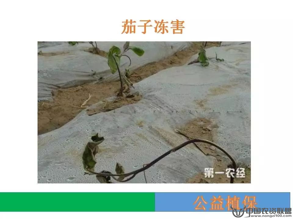 附件