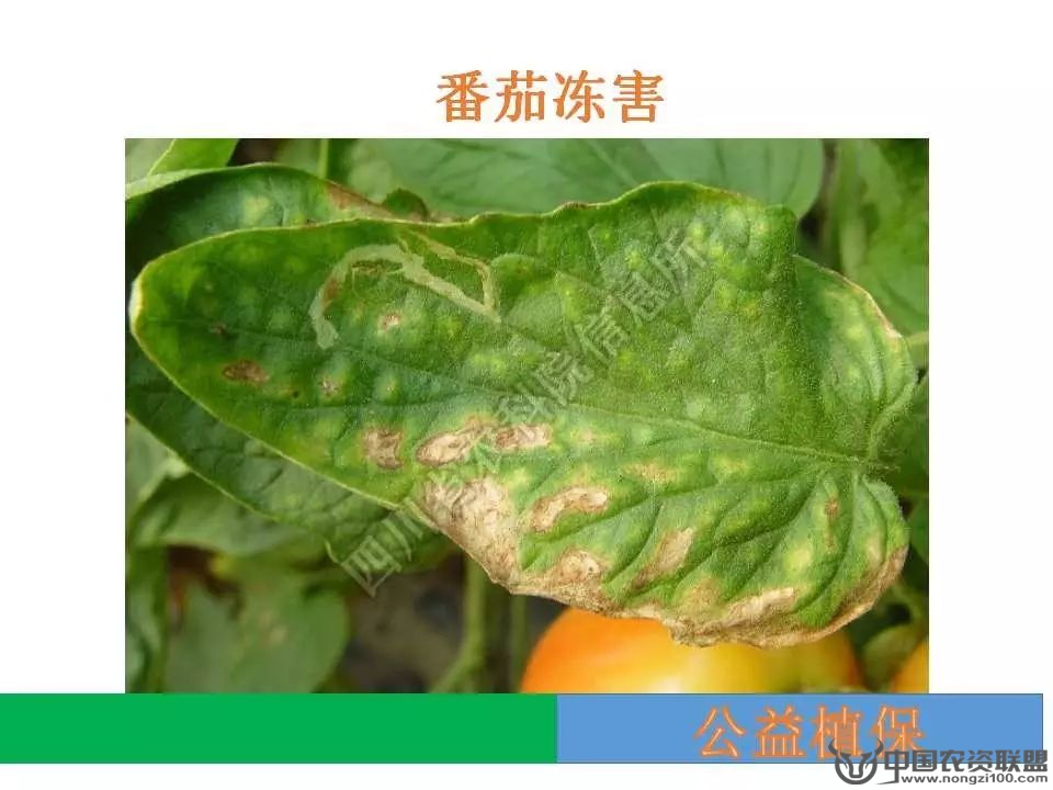 附件