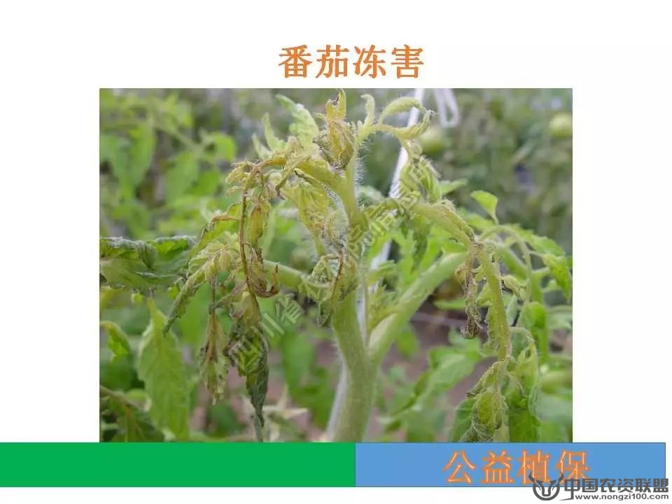 附件