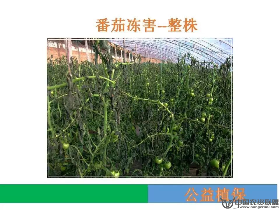 附件