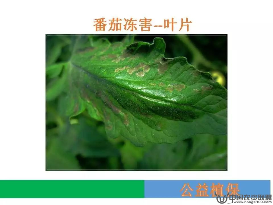 附件