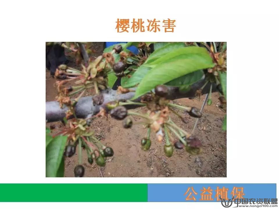 附件