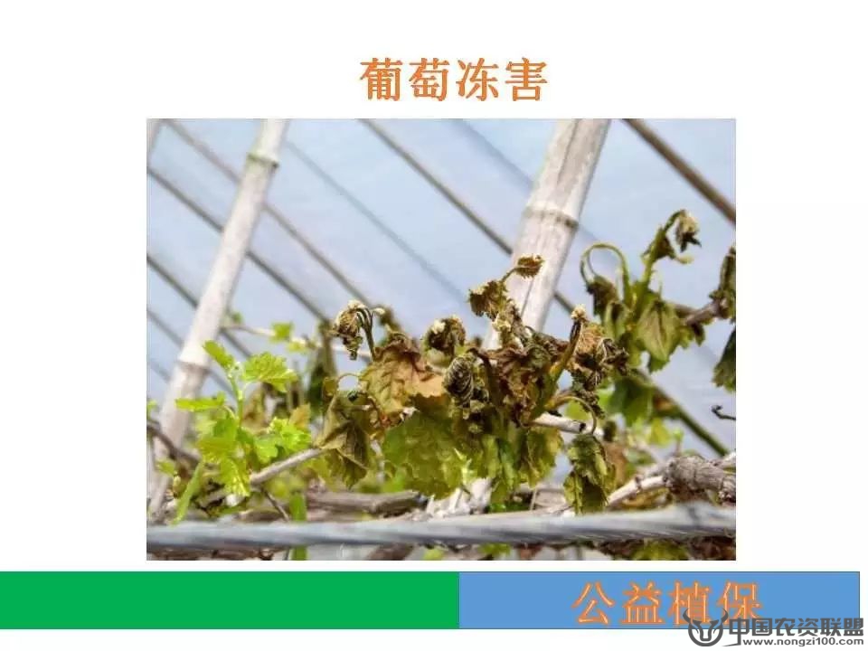 附件
