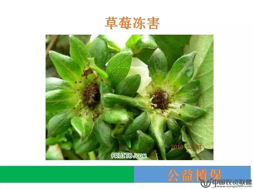 附件