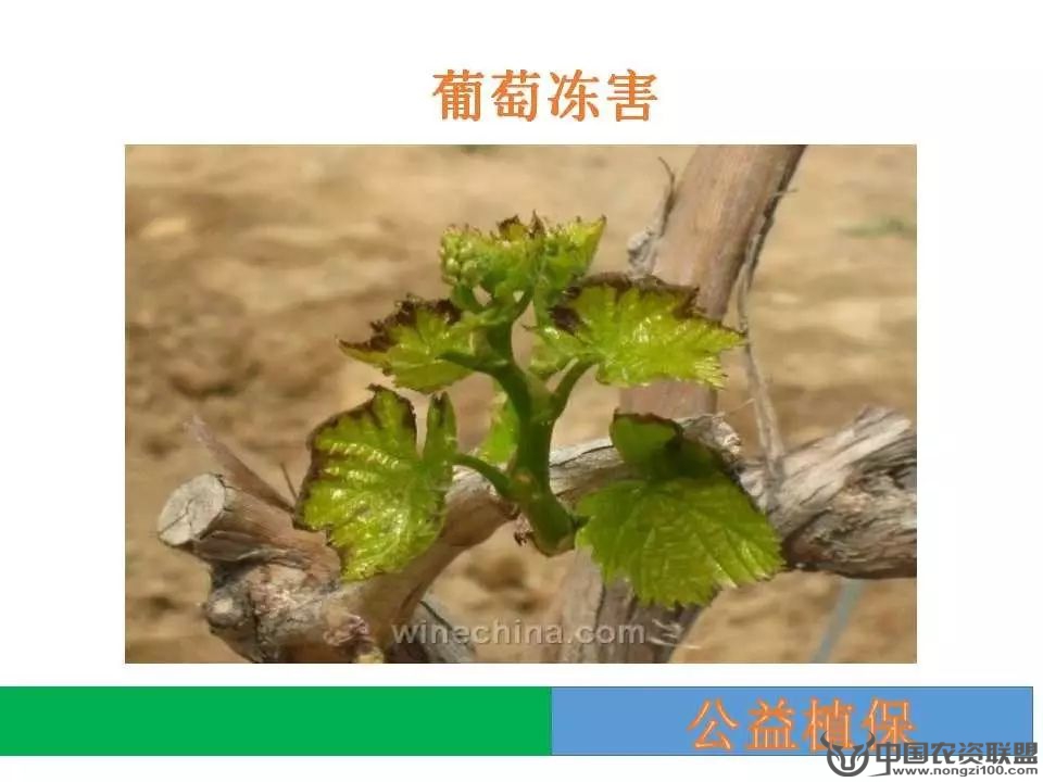 附件