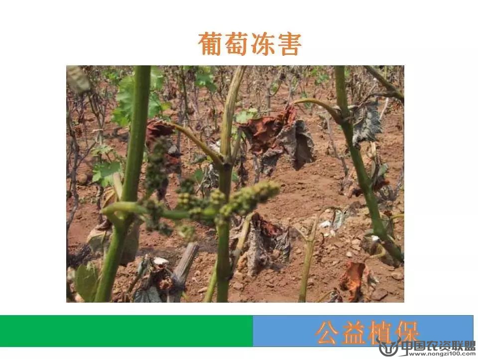 附件