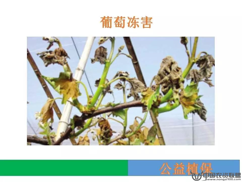 附件