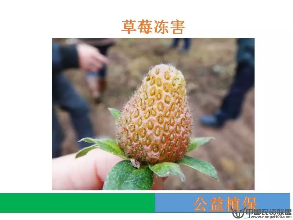 附件