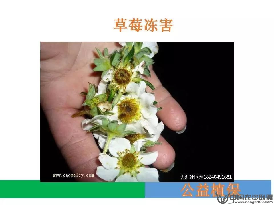 附件