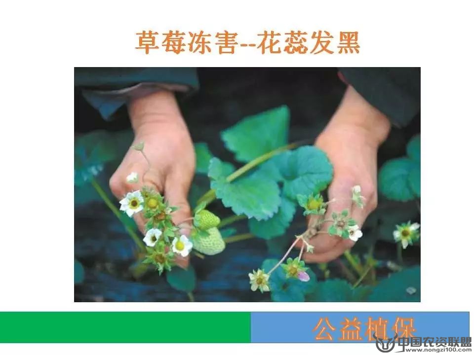 附件